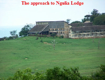 Ngulia lodge 2