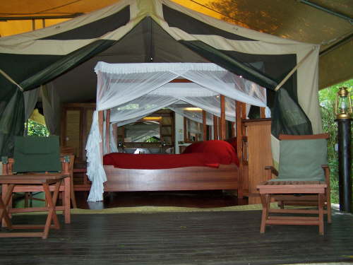 Intrepids Family tent