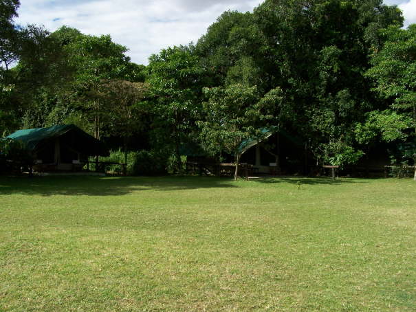 Tents facing the Masai Mara