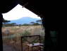 View from inside the tent