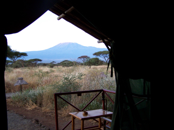 View from inside the tent