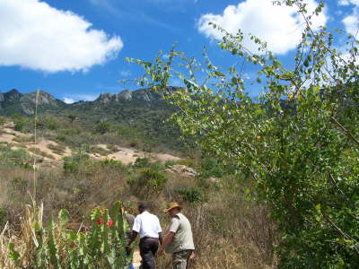Tommy & Shadrack walking to the next banda
