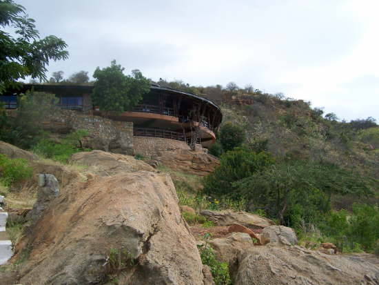 View looking back up to the restaurant
