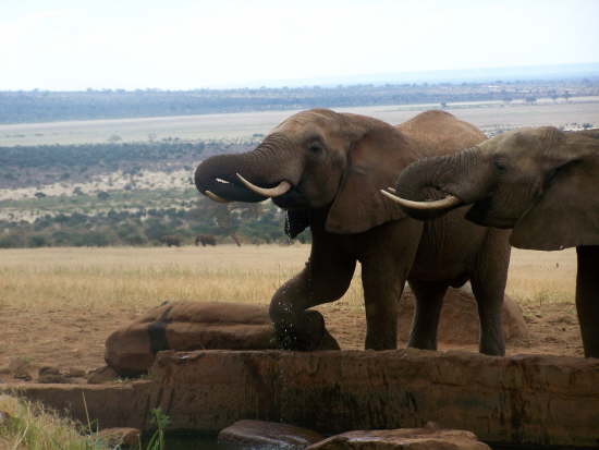 Photos from the photo hide