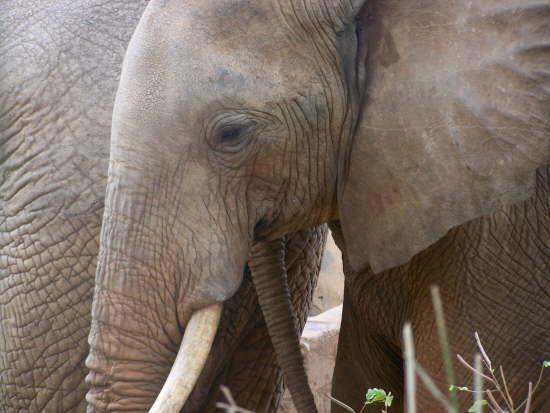 Photos from the photo hide