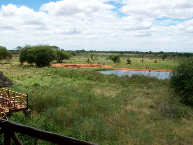 View from our balcony