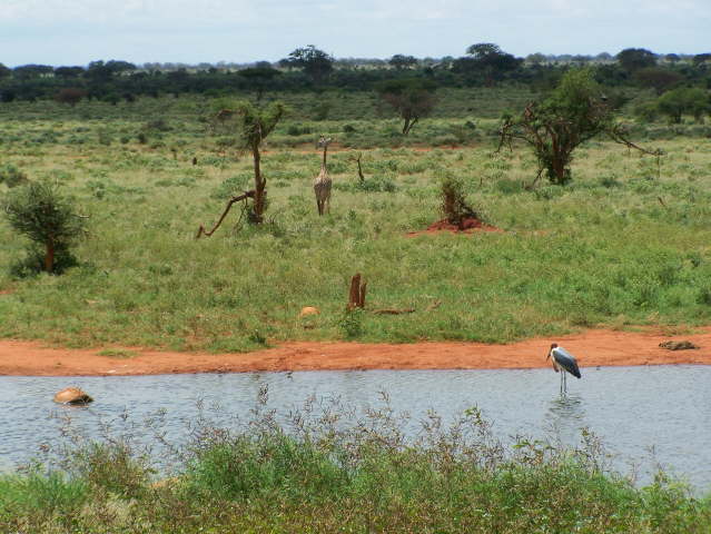 View whilst eating lunch!
