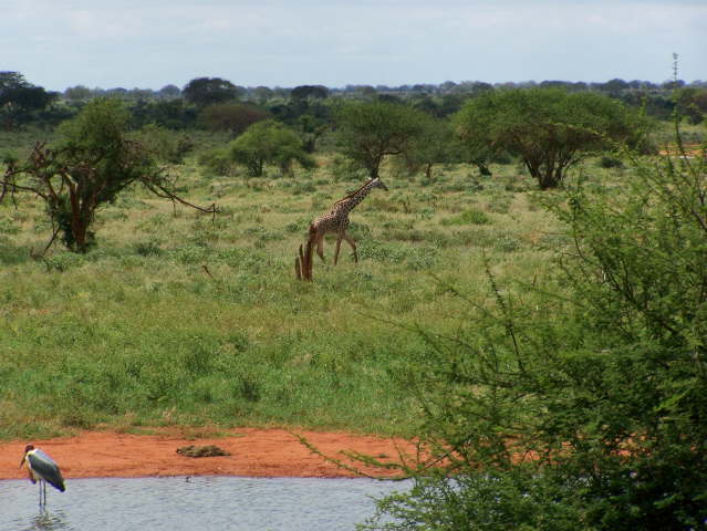View whilst eating lunch!