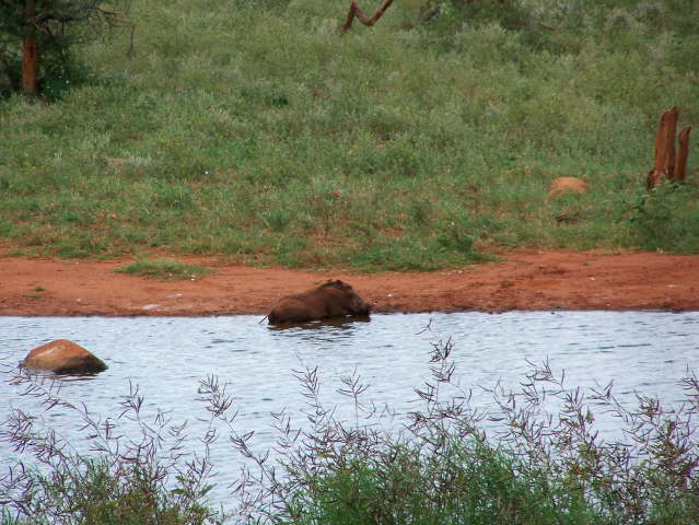 View whilst eating lunch!
