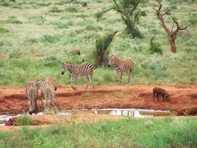 View whilst eating lunch!