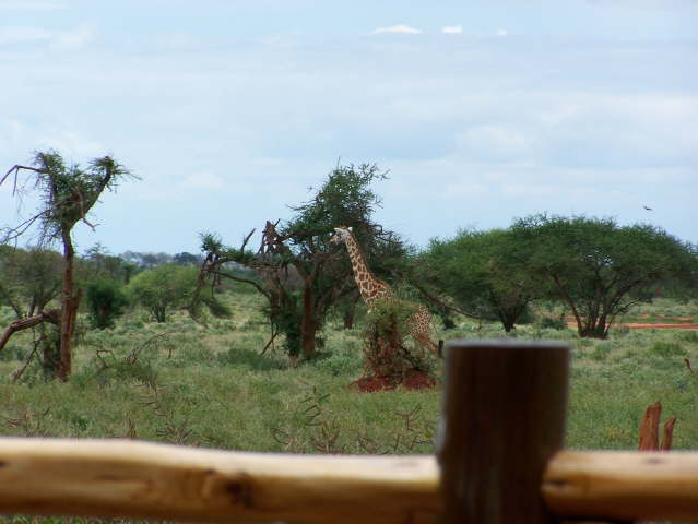View whilst eating lunch!