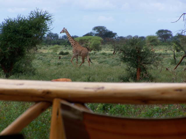 View whilst eating lunch!