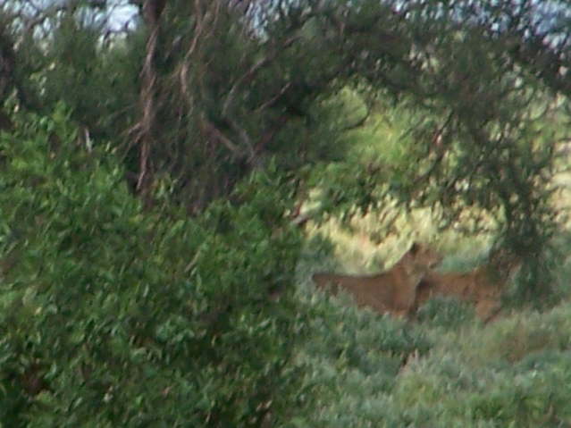 View whilst eating lunch!