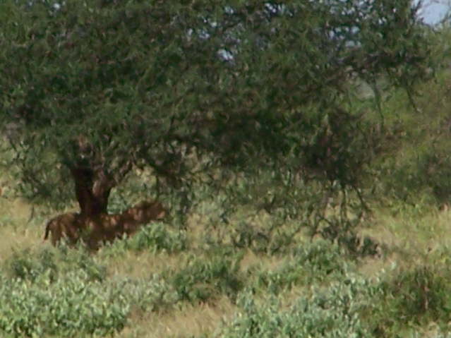 View whilst eating lunch!