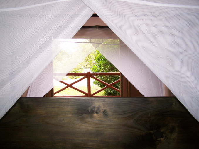 View from withing the tent