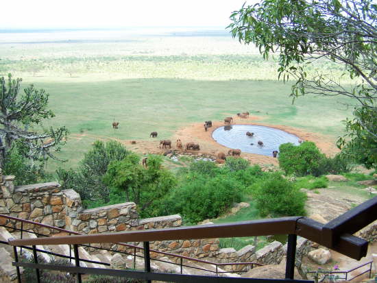 Voi Safari Lodge