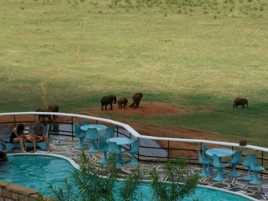 Voi Safari Lodge