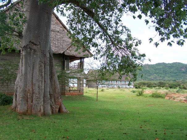 Rooms at Voi Wildlife Lodge