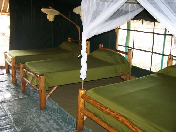 Kenya Dec 2009 Kibo Safari Camp