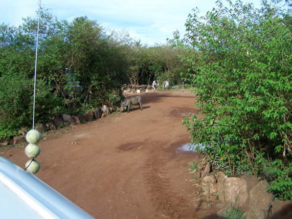 Mara Serena Dec 2009 632