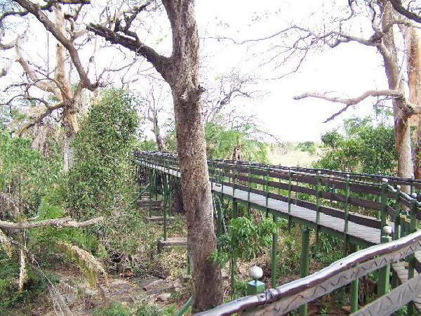 Keekorok walkway