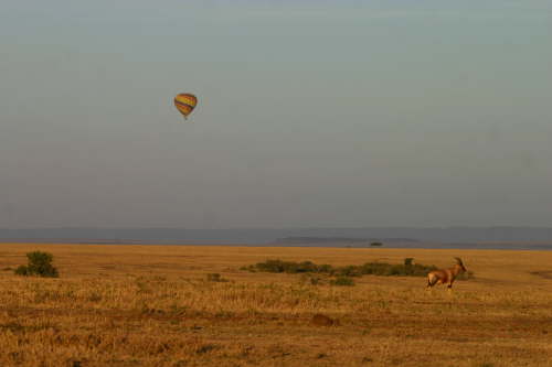 Photos from the balloon CD